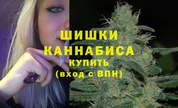СК Покачи