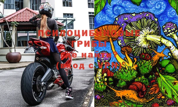 гидропоника Покровск