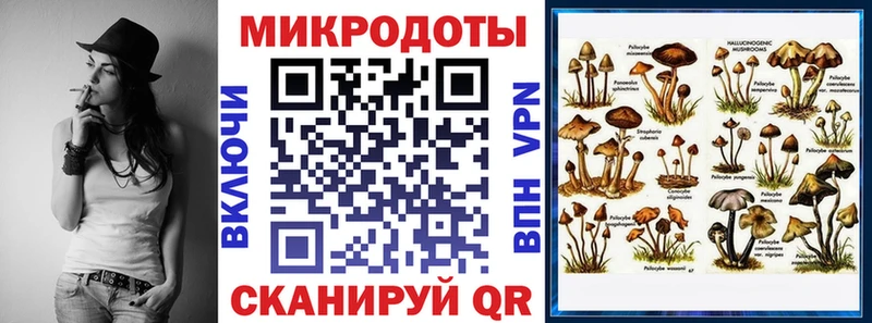 как найти   Верхнеуральск  Галлюциногенные грибы Psilocybine cubensis 